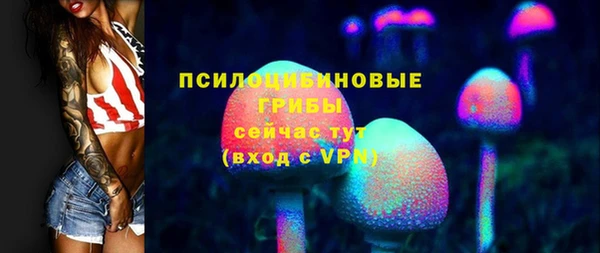 спайс Богданович