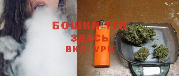 дмт Белокуриха