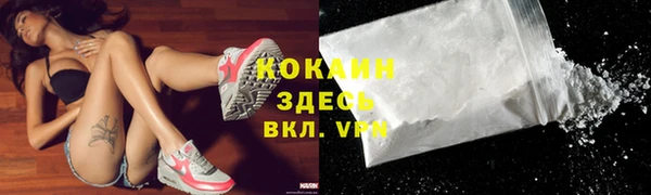 дмт Белокуриха