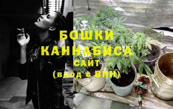 дмт Белокуриха